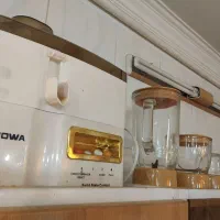 خردکن آبمیوه‌گیری نیاز به تعمیر