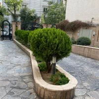 اجاره اپارتمان 135 متری دزاشیب