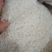 برنج چمپا خوش پخت و خوش عطر