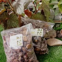 خرما برحی خوزستان درشت و خوشمزه|خوردنی و آشامیدنی|قم, پردیسان|دیوار