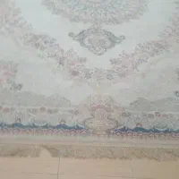 فرش ۱۲ متری درحدنو
