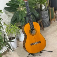 گیتار یاماها c70