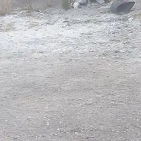 خرگوش بازیگوش