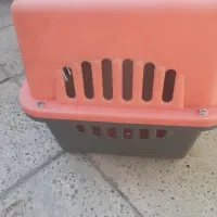 باکس گربه بالغ