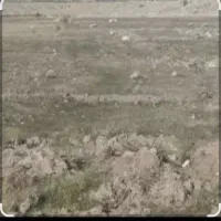 فروش زمین درمشگین شهر