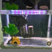 آکواریوم با تمام وسایل