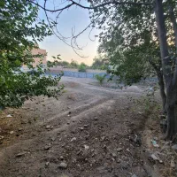 فروش زمین کشاورزی در لنجان