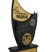 لوح تقدیر و تندیس رسام