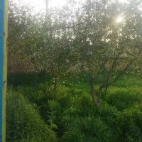 ۷۵۰متر سندتک برگ فروش بصورت نقد یا تهاتر بازمرگان|فروش زمین و ملک کلنگی|مشهد, میان ولایت|دیوار