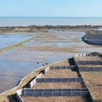 250متر-زمین-کاربری-مسکونی