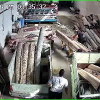 قالیشویی تمام اتوماتیک احمدی قالی شویی