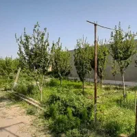 1700متر-باغ-ویلا