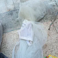 لباس عروس با تور سر و کت|لباس|گلپایگان, |دیوار