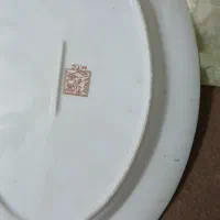 دیس مرغی