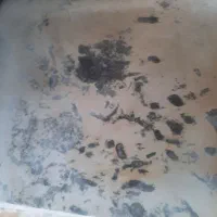 سنگ پله و درپوش|مصالح و تجهیزات ساختمان|شیراز, بعثت|دیوار