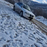 سمند دوگانه