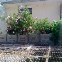 فروش ویلا باغ دلفارد