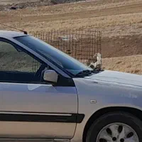 زانتیا 2000 سالم