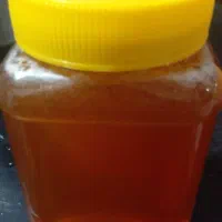 عسل گون آویشن