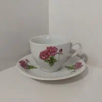 سینی قدیمی..میوه خوری..فنجان و نعلبکی گل سرخ