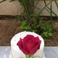 کیک خانگی|خوردنی و آشامیدنی|کاشان, شمس آبادی|دیوار