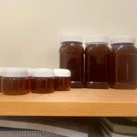 عسل درمانی ارگانیک|خوردنی و آشامیدنی|قوچان, |دیوار