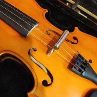 ویولن|ویولن|سبزوار, هویزه|دیوار