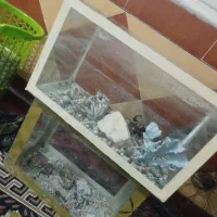 اکواریوم