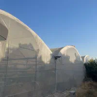 فروش گل خانه