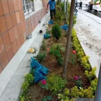 خدمات باغبانی گلکاری هرس کاری  تعویض خاک گلدان|خدمات باغبانی و درختکاری|کرج, فاز ۱ مهرشهر|دیوار