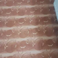 فوری فوری ب علت جابجایی  دوعدد موکت نو ۹ متری