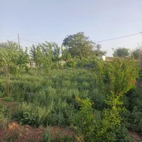 باغچه در تاج خاتون همراه اب|فروش زمین و ملک کلنگی|سلفچگان, |دیوار