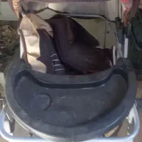 کالسکه|کالسکه و لوازم جانبی|مهریز, |دیوار