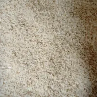 برنج محصول خودم