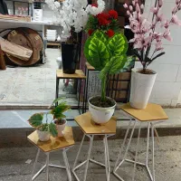 تخفیف ویژه گل و درختچه|گل مصنوعی|بندر کنگان, |دیوار