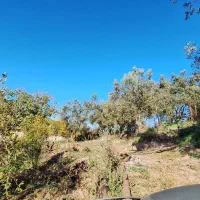 خانه باغ|فروش خانه و ویلا|توتکابن, |دیوار