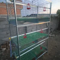 قفس مرغ تخمگذار و گوشتی