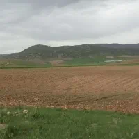 زمین کشاورزی