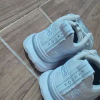 کفش کتانی|کیف، کفش، کمربند|الوند, |دیوار