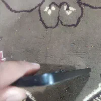 نوت 13|موبایل|زاهدان, |دیوار