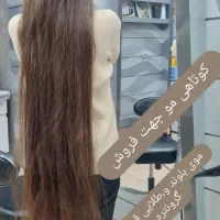 موهای بلند شمارا با بهترین قیمت خریدارم بدون واسطه