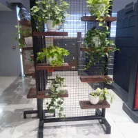 باغچه