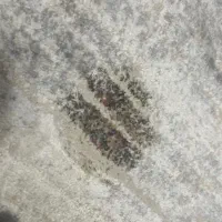 رفوگری و قالیشویی در زرند کرمان