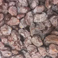 مویزدیم شهددار،آبدارشیزاز