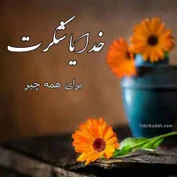 نظافتچی جهت انجام امور منزل