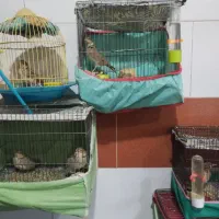 سهرخاکی دستی