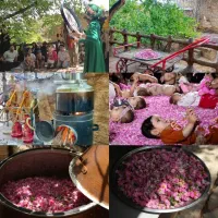 اخر-هفته-ای-رویایی-با-رایحه-ی-گل-های-محمدی