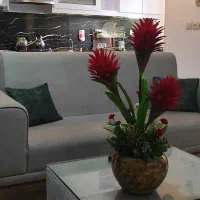 اجاره واحد مبله آبادگران هاشمیه ویو ابدی|اجارهٔ کوتاهمدت آپارتمان و سوئیت|مشهد, آبادگران|دیوار