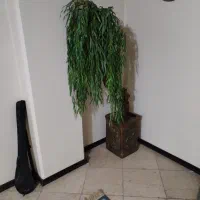 درختچه مصنوعی