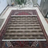 پرده زبرا گل قاصدک